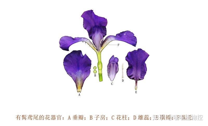 略阳县金家河区域敬老院