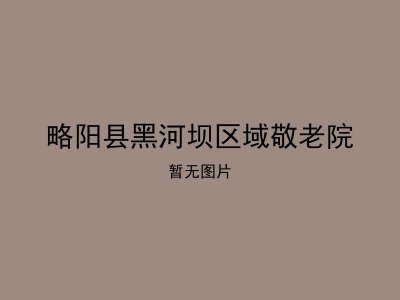 略阳县黑河坝区域敬老院
