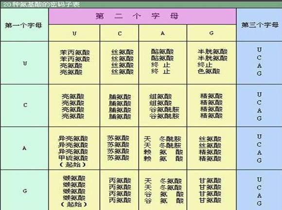 神木大柳塔镇爱心养老院