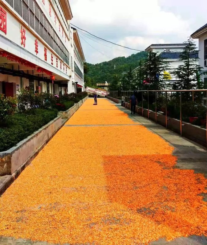 岚皋县石门镇横溪敬老院