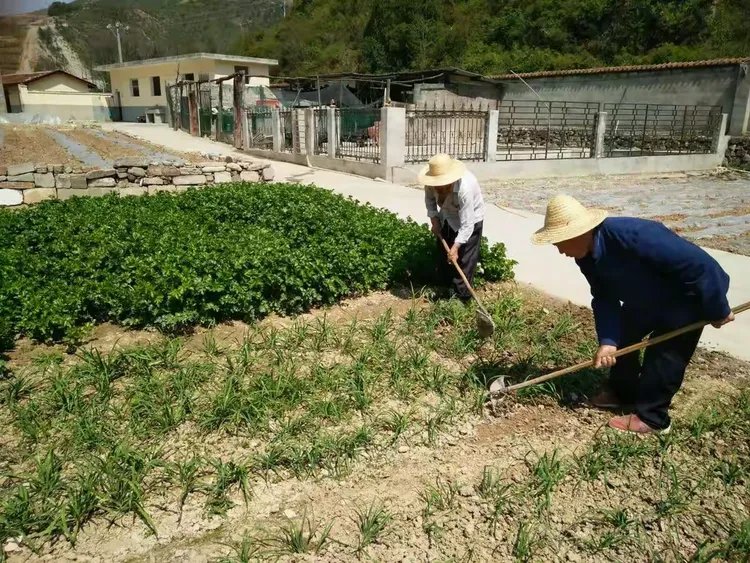 旬阳市小河区域敬老院
