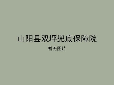 山阳县双坪兜底保障院