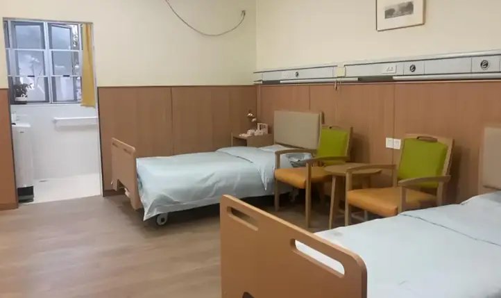 新海颐