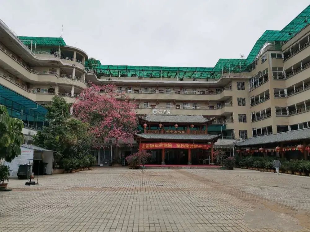 广东颐年养老服务有限公司