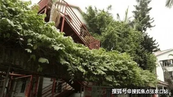 新滘老人公寓