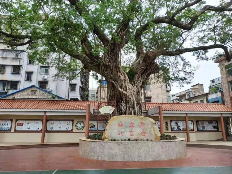 增城区荔城街柏盛照护中心（广州市柏盛养老服务有
