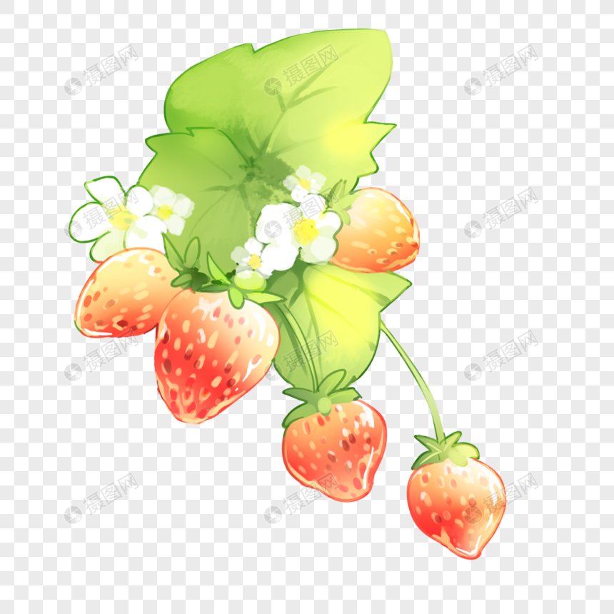 桂花乡敬老院