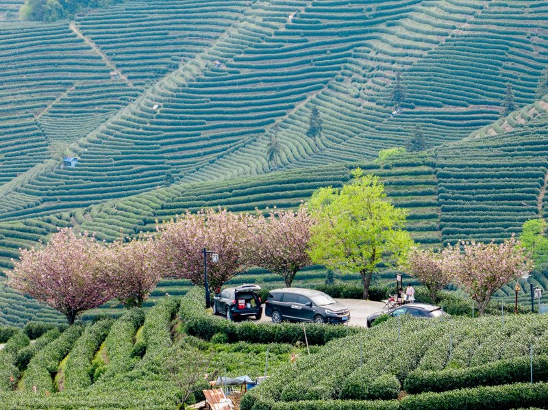 茶园镇敬老院