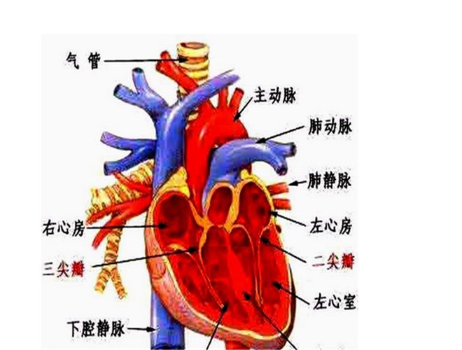 化作乡敬老院
