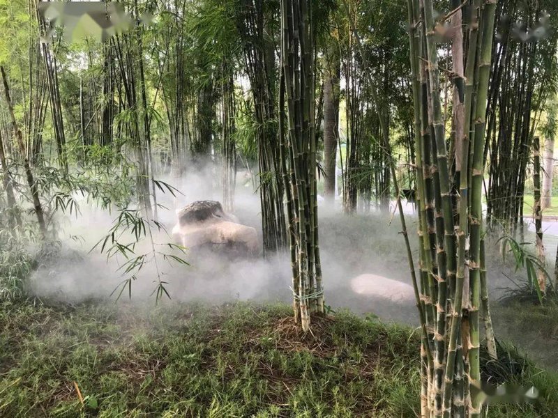 竹园乡敬老院