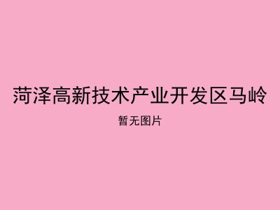 菏泽高新技术产业开发区马岭