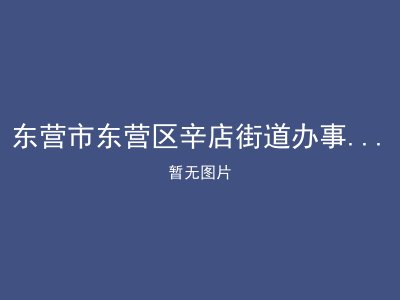 东营市东营区辛店街道办事处老年公寓（敬老院）
