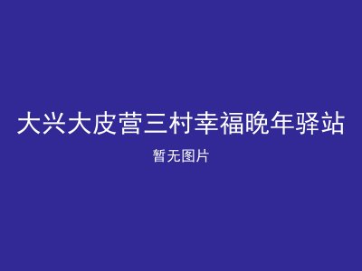 大兴大皮营三村幸福晚年驿站