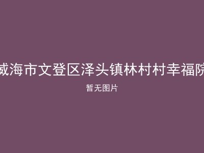 威海市文登区泽头镇林村村幸福院