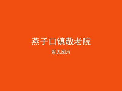燕子口镇敬老院