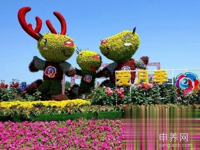大兴兴隆庄村幸福晚年驿站