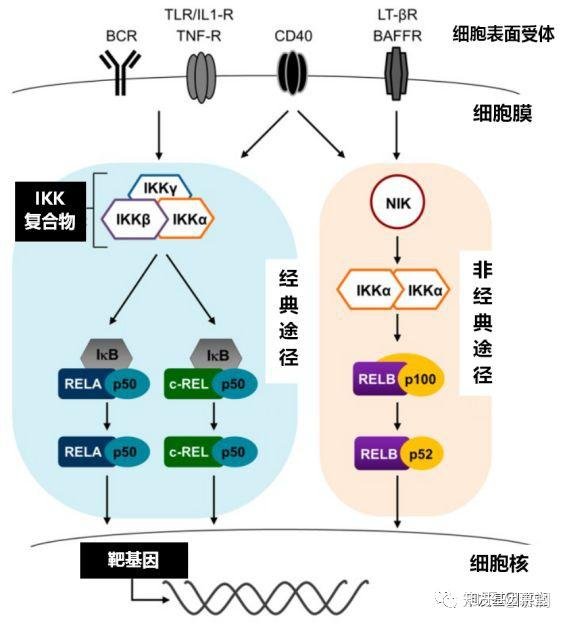 西旗杆石村暖心食堂