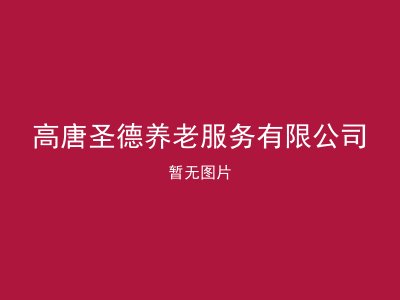 高唐圣德养老服务有限公司