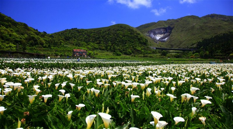 莱阳市爱心老年公寓