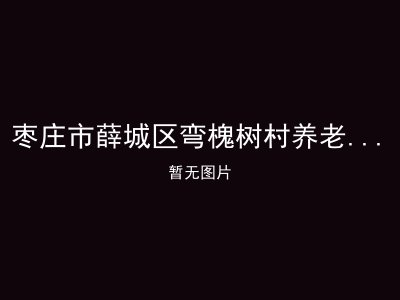 枣庄市薛城区弯槐树村养老服务中心