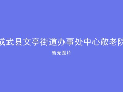 成武县文亭街道办事处中心敬老院