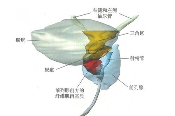 鑫嘉源老年公寓