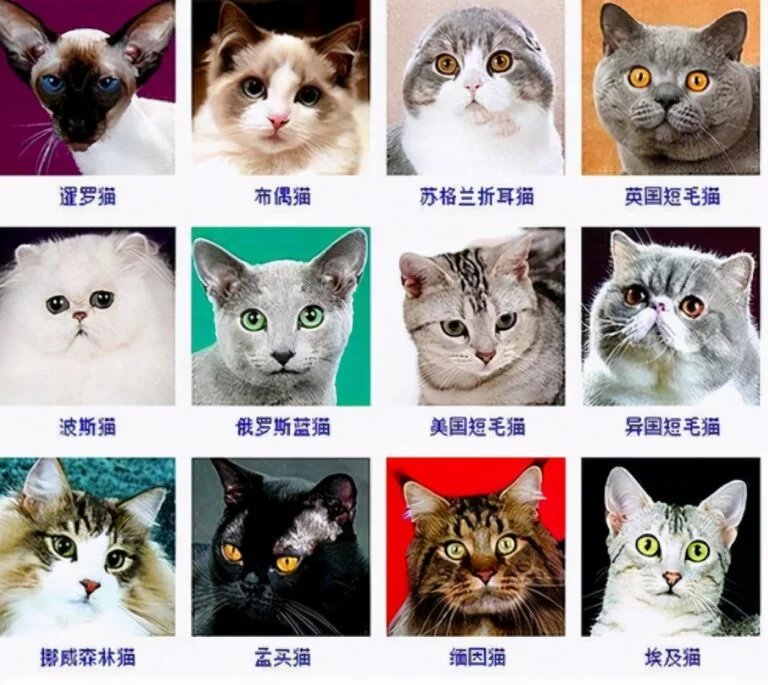 双塔中心敬老院