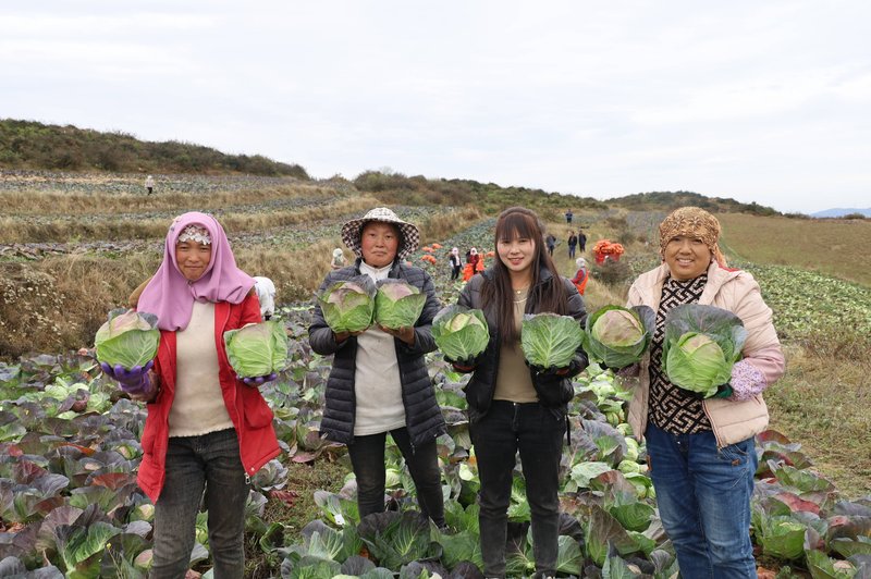 贵州省毕节地区威宁县双龙乡