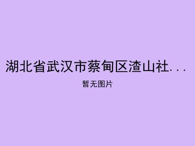 湖北省武汉市蔡甸区渣山社会福利院