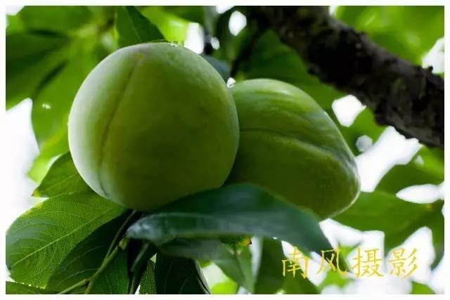 福建省三明市清流县长校镇敬老院