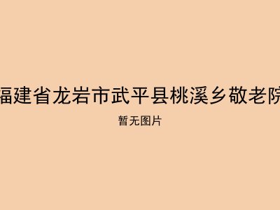福建省龙岩市武平县桃溪乡敬老院