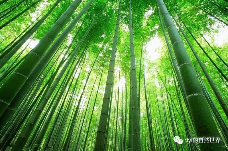 甘肃省临夏州康乐县综合福利院