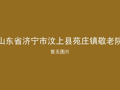 山东省济宁市汶上县苑庄镇敬老院