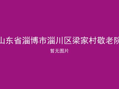 山东省淄博市淄川区梁家村敬老院