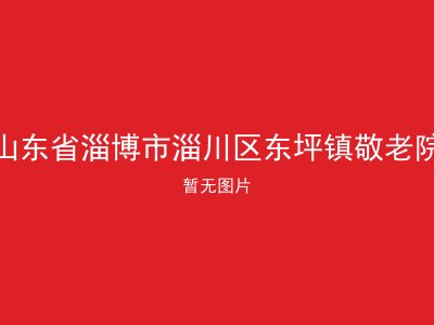 山东省淄博市淄川区东坪镇敬老院