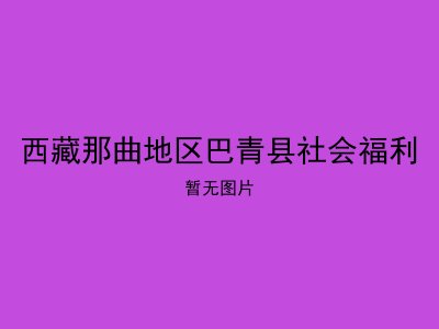 西藏那曲地区巴青县社会福利